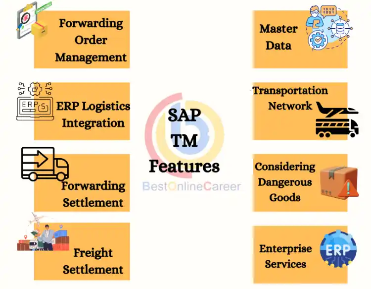 SAP Tm features